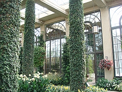 292 Longwood Gardens [2008 August 23]